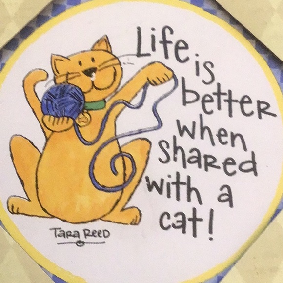 4 Adorable new ,Cat coasters by Cypress. 4 absorbent ceramic coasters- - Picture 2 of 3